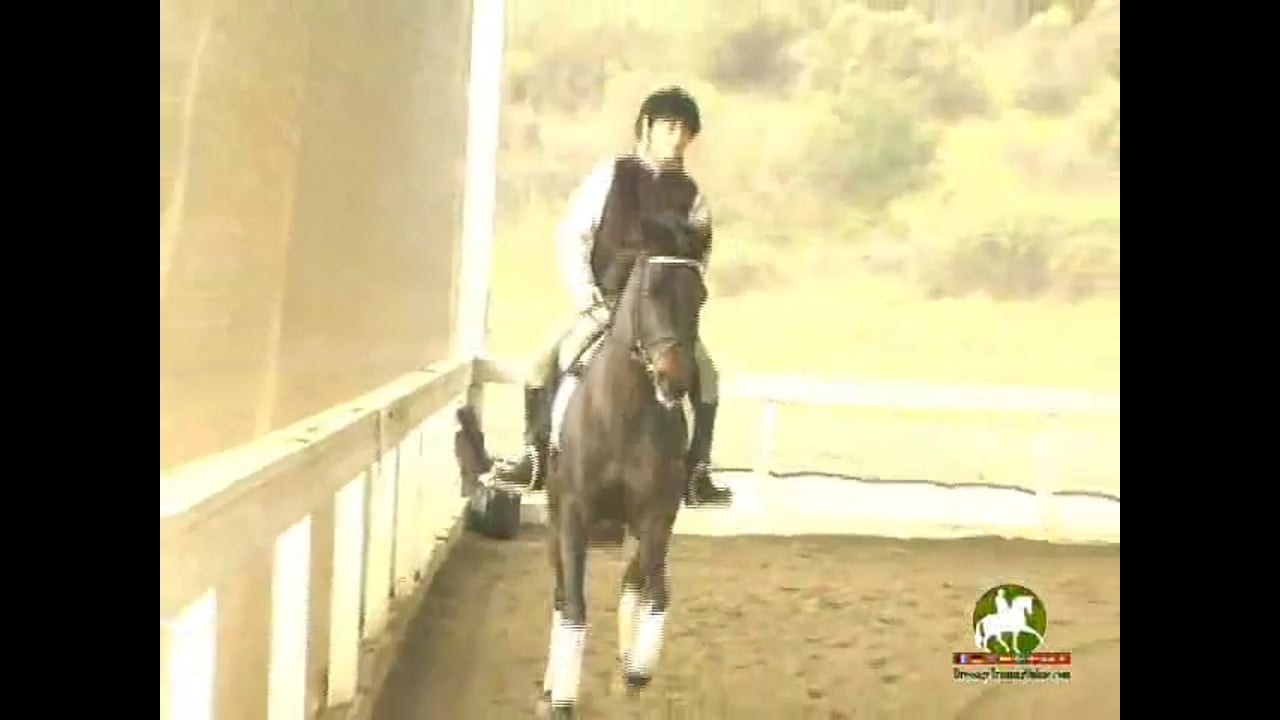 Flying Changes | Catherine Haddad | PART 02