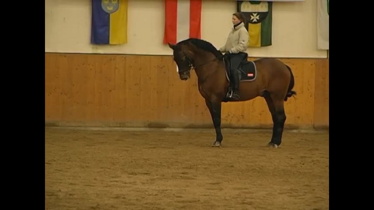 Help the Horse Stretch Over the Back | Caroline Kottas-Heldenberg | PART 02