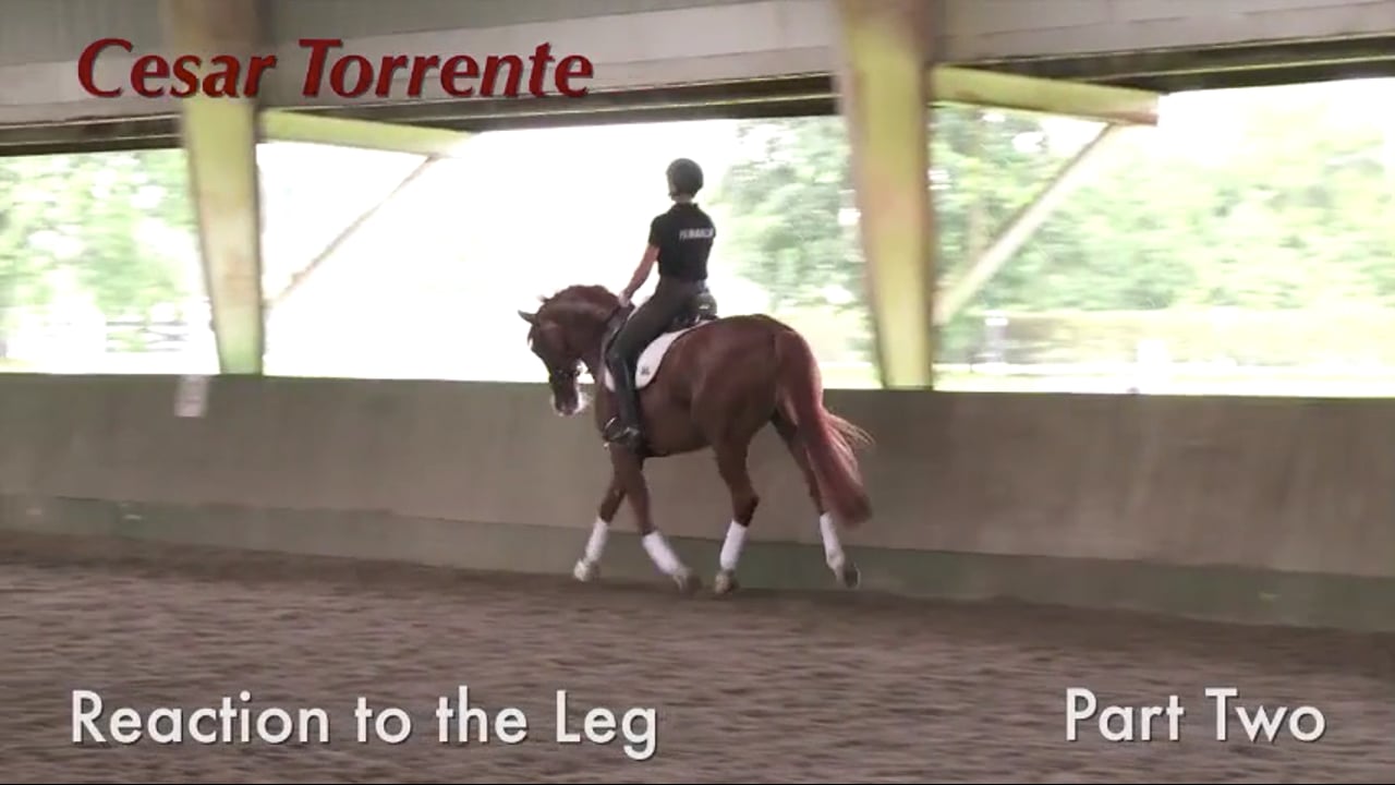 Reaction to The Leg | Cesar Torrente | PART 02