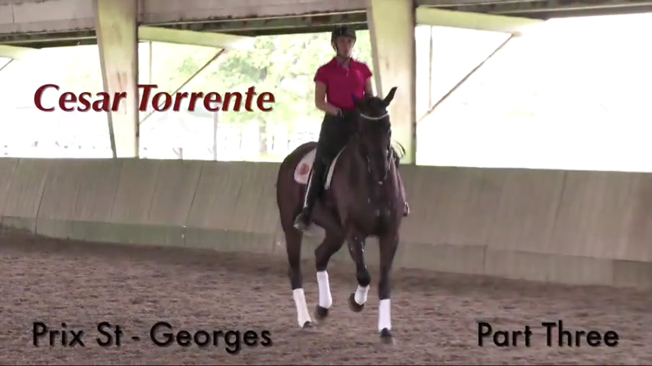 Making Critical Improvements in the Gaits | Cesar Torrente | PART 03