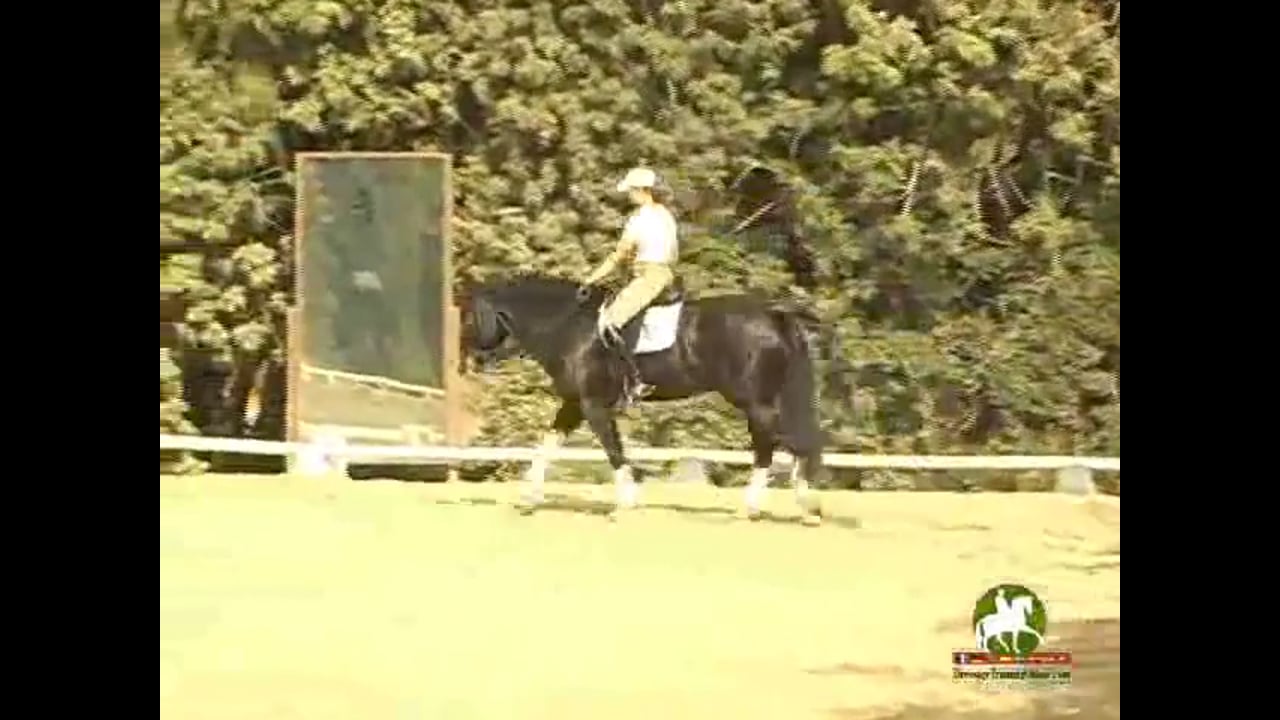 Changes and Pirouettes | Catherine Haddad | PART 02