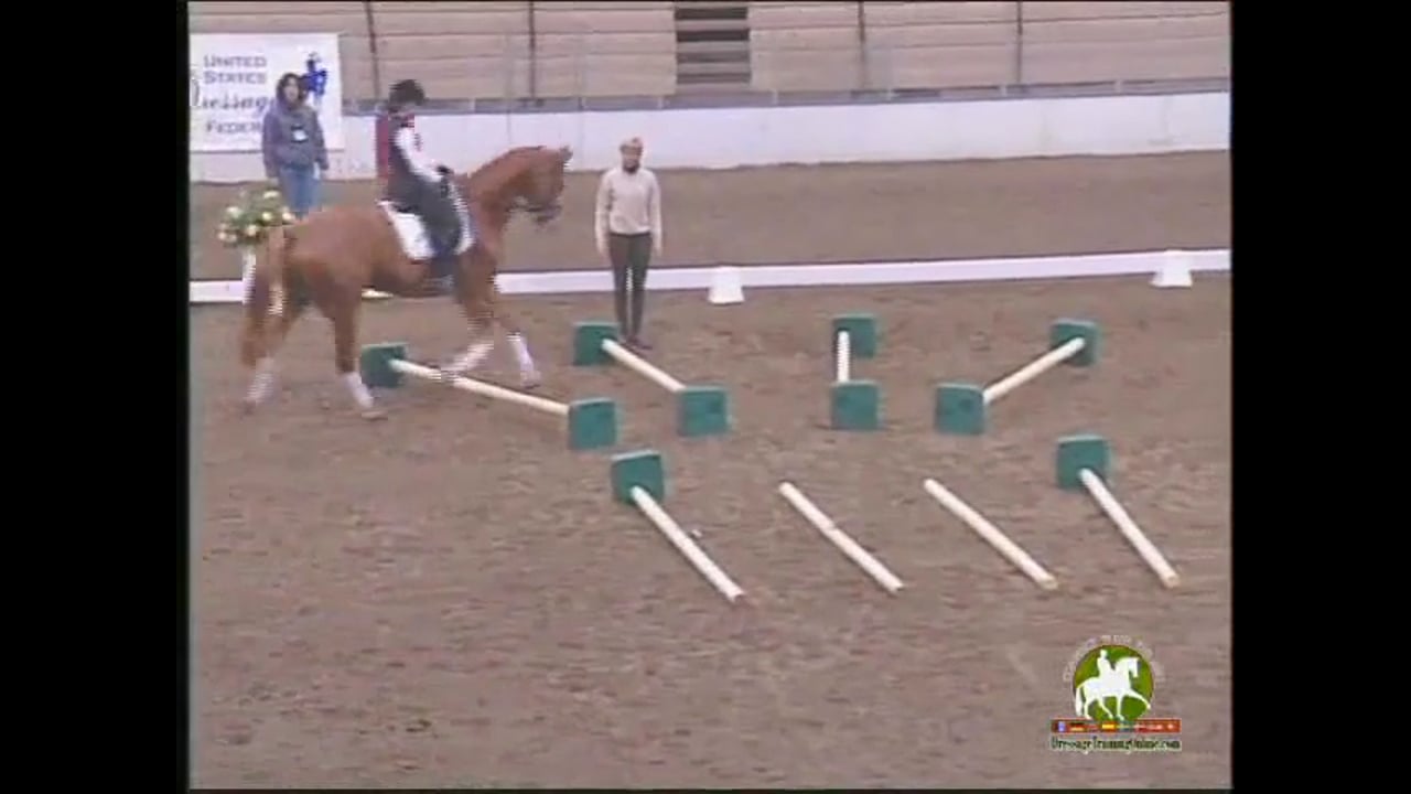 Cavalletti Work | Ingrid Klimke | PART 04