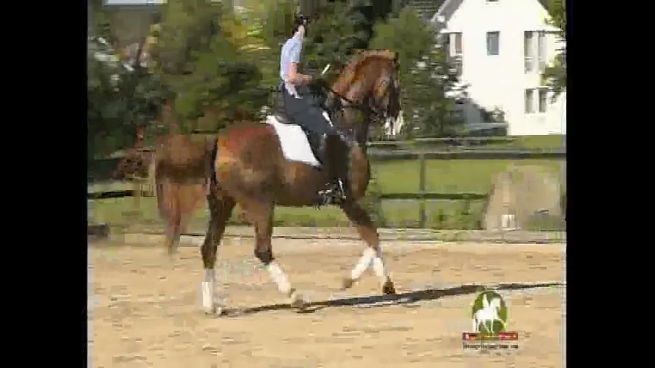WEG 2010 Reserve Pair, Grand Prix/S Level | Catherine Haddad | PART 03
