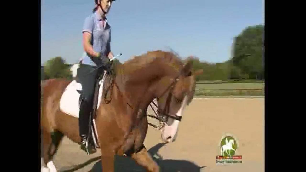 WEG 2010 Reserve Pair, Grand Prix/S Level | Catherine Haddad | PART 02