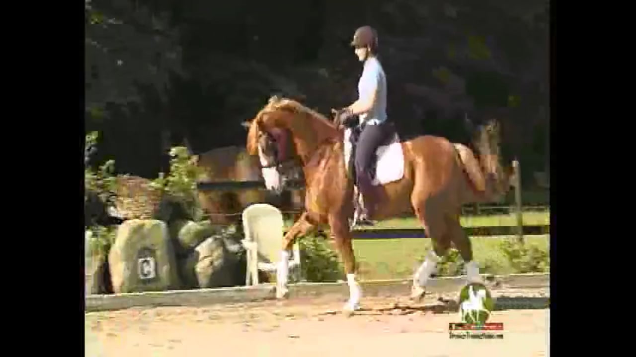WEG 2010 Reserve Pair, Grand Prix/S Level | Catherine Haddad | PART 04