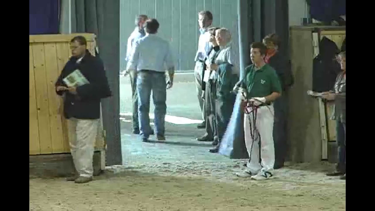 CHIO 2nd Annual Aachen Auction, 2008 | PART 02