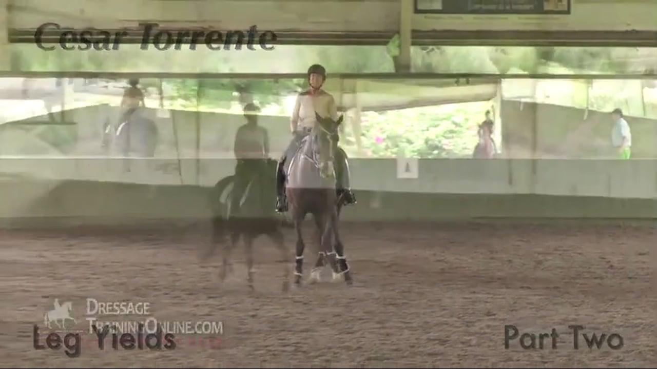 Teaching the Leg Yield | Cesar Torrente | PART 02
