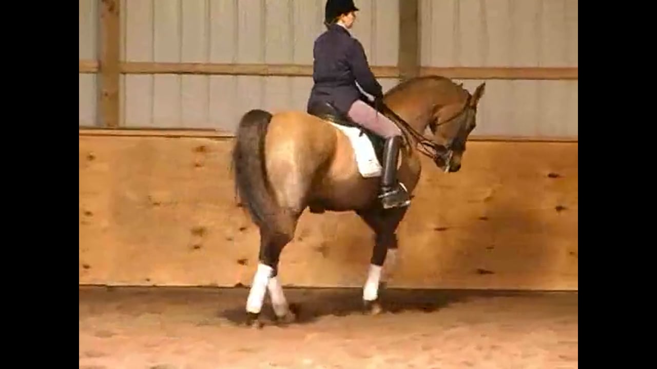 CHIO 2nd Annual Aachen Auction, 2008 Part 6