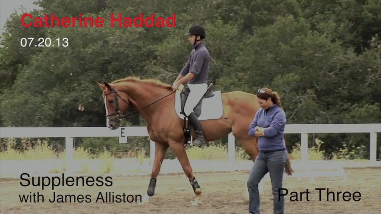 Works on Suppleness, Bend and Throughness | Catherine Haddad | PART 03