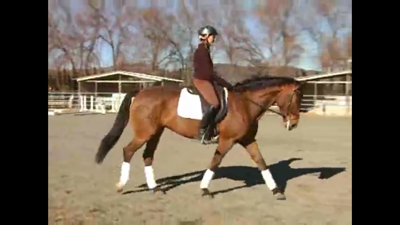 cavaletti work
