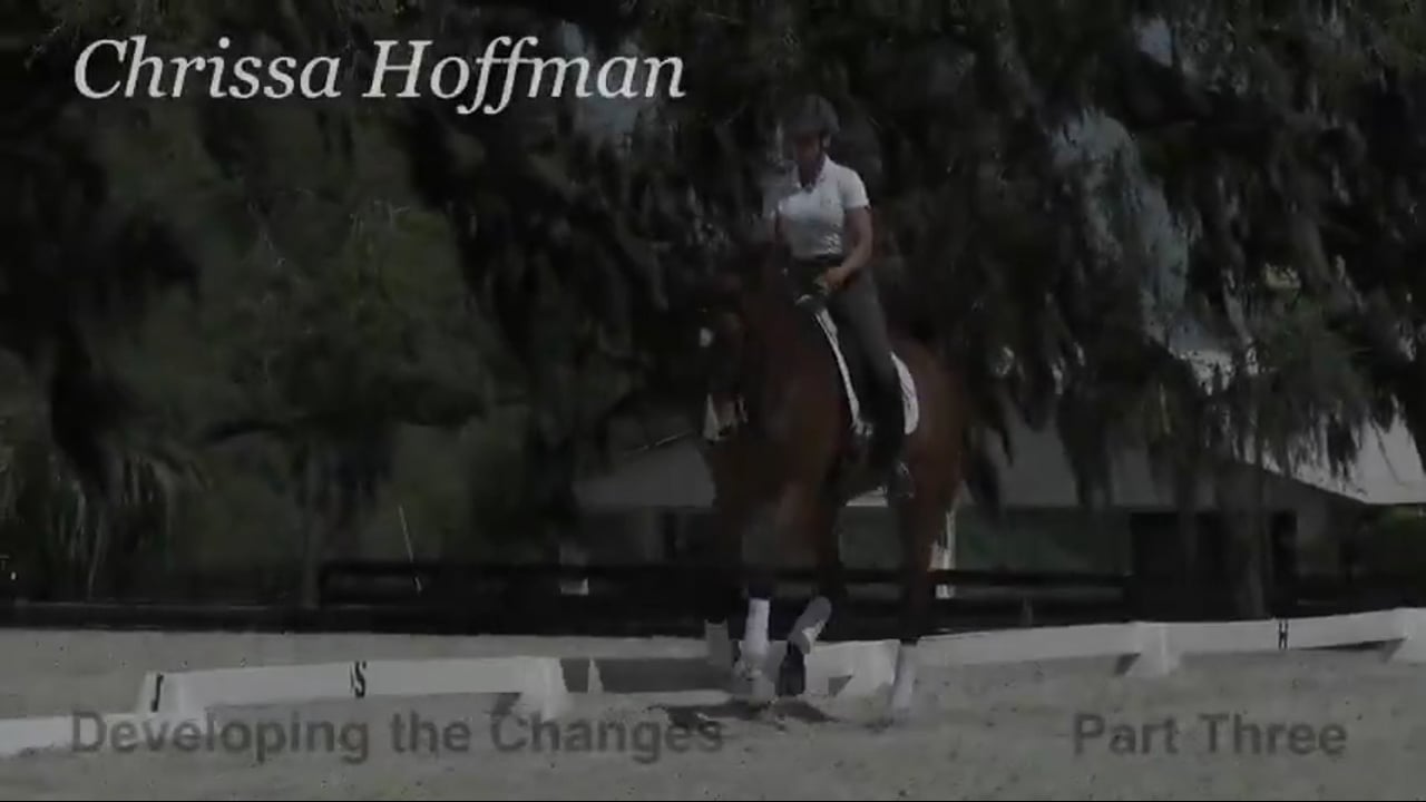 Developing the Changes | Chrissa Hoffmann | PART 03