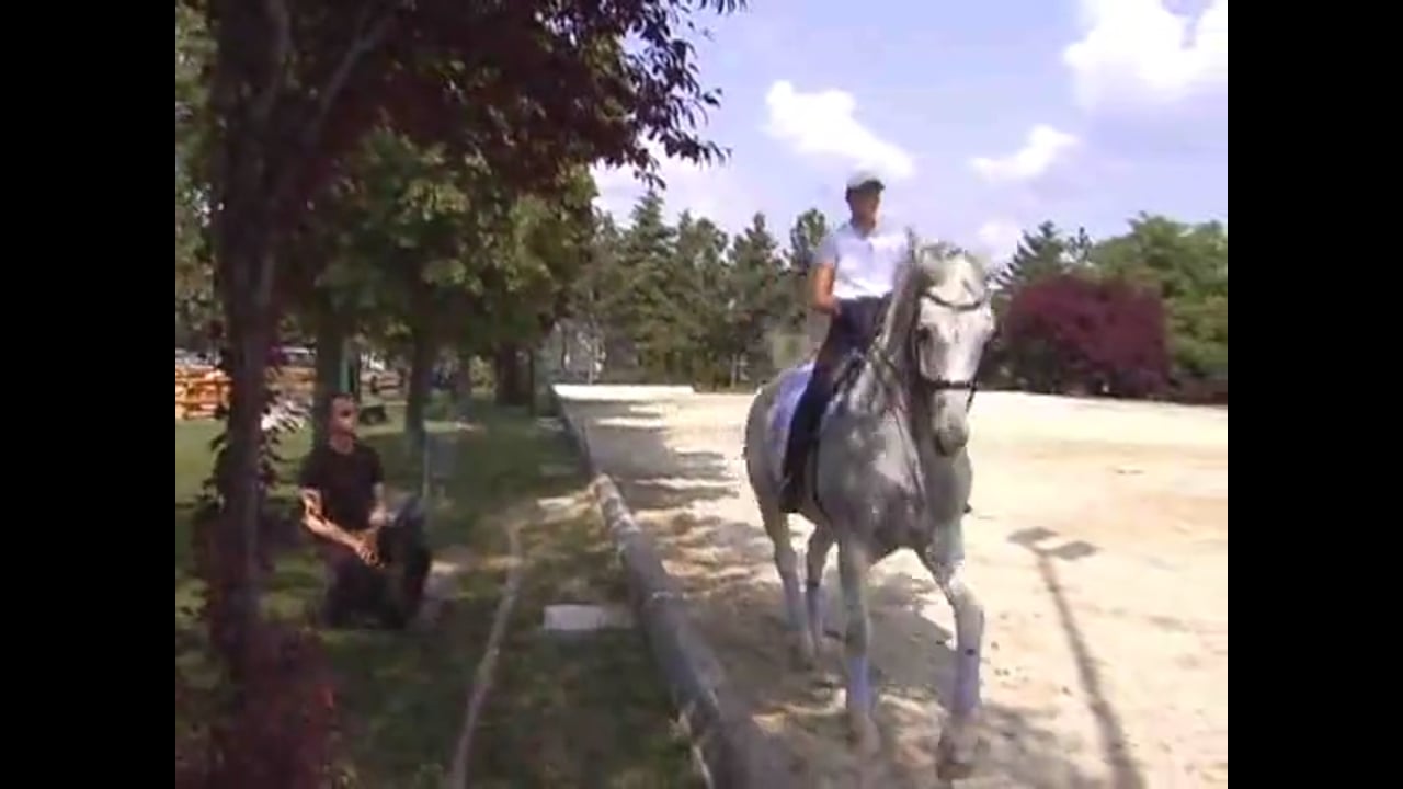 Caroline Kottas-Heldenberg focuses on the warm-up getting the horse stretching o