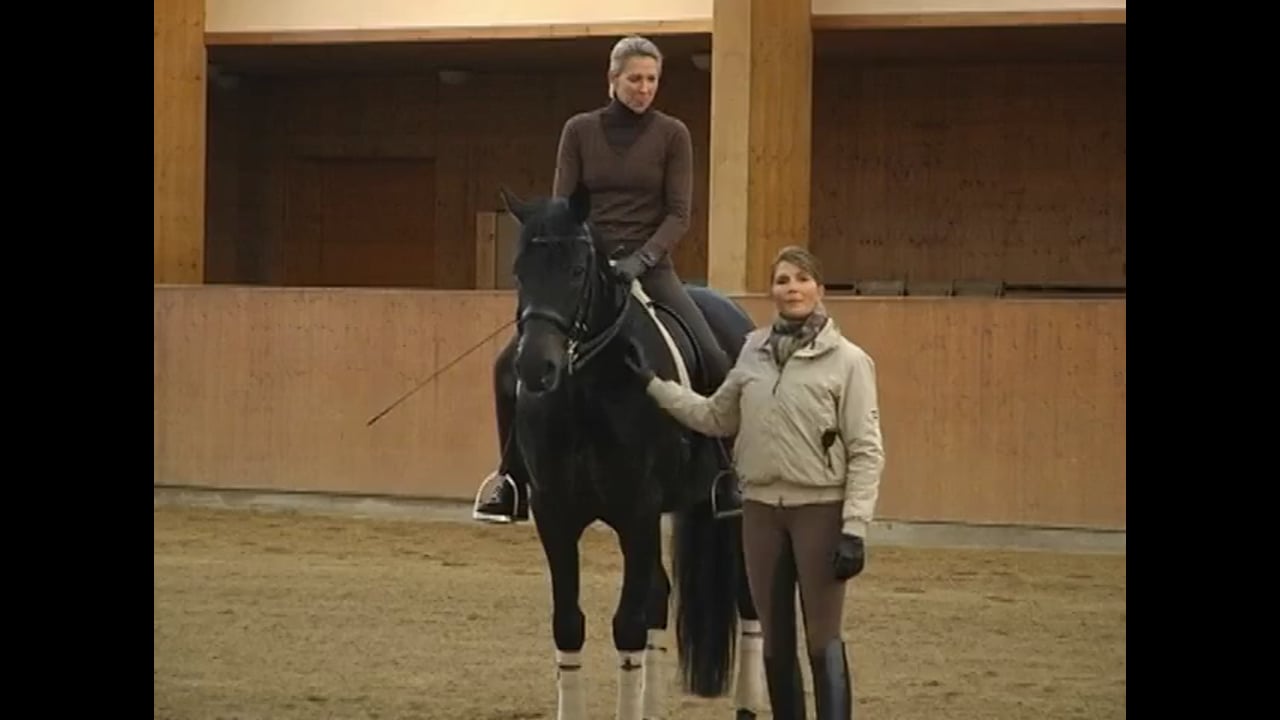Shoulder In, Collected Canter & Pirouette | Caroline Kottas-Heldenberg | PART 01
