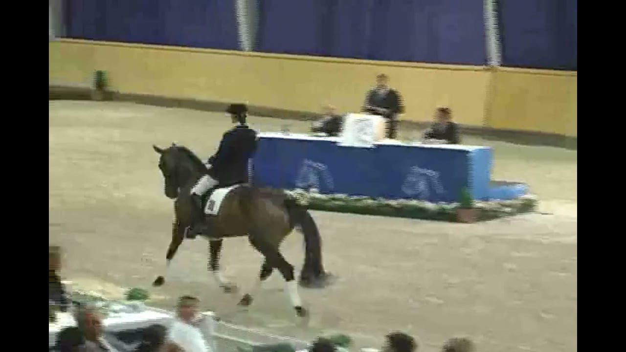 CHIO 2nd Annual Aachen Auction, 2008 | PART 01