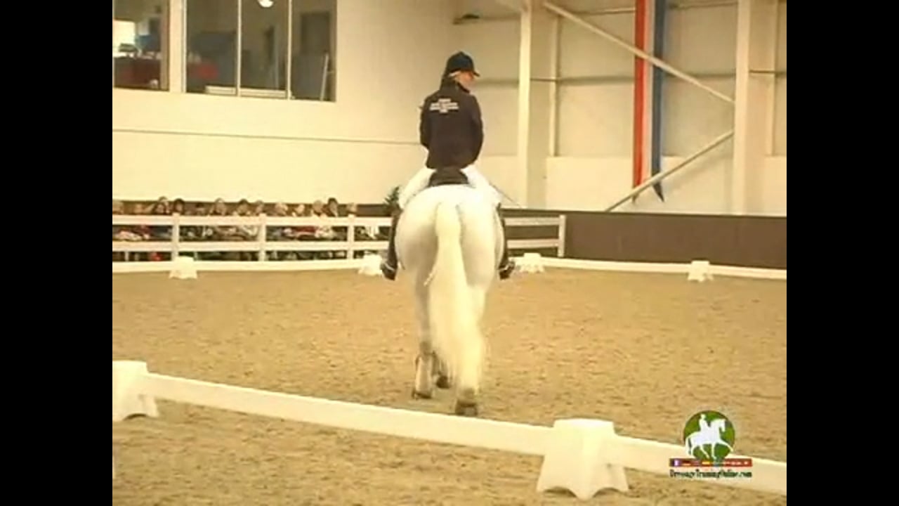 Canter pirouettes