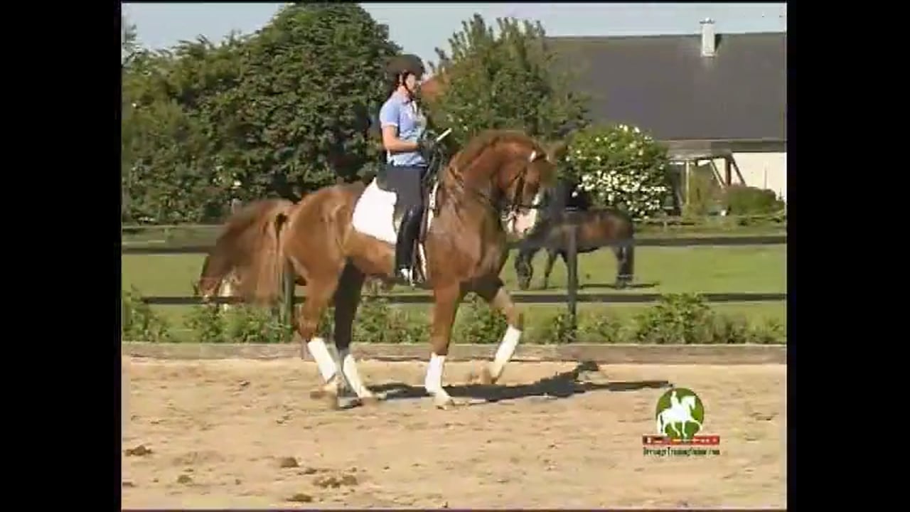 Flying Changes | Catherine Haddad | PART 03