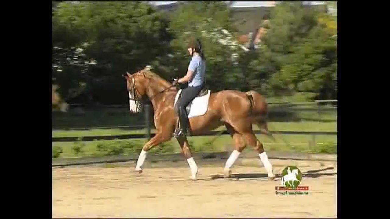 Piaffe, Passage, and Throughness | Catherine Haddad | PART 03