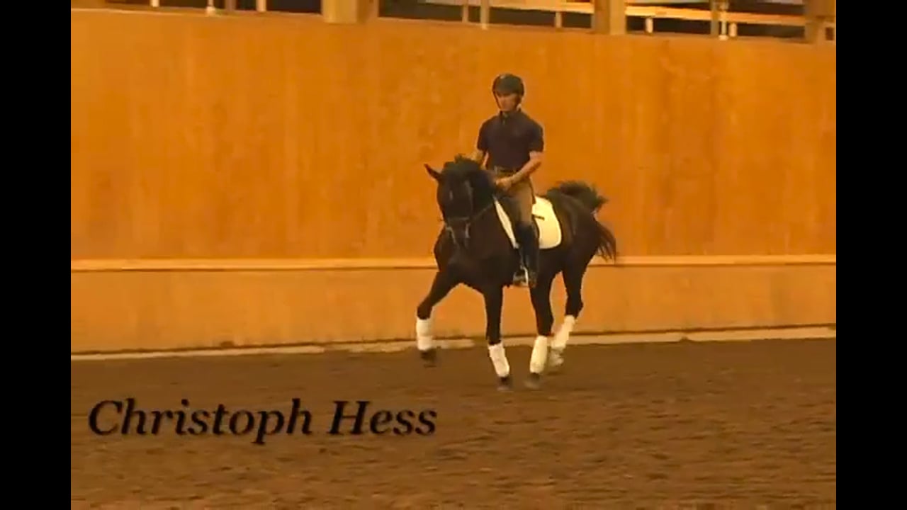 Stretching for Upper Levels, Day 1 | Christoph Hess | PART 05