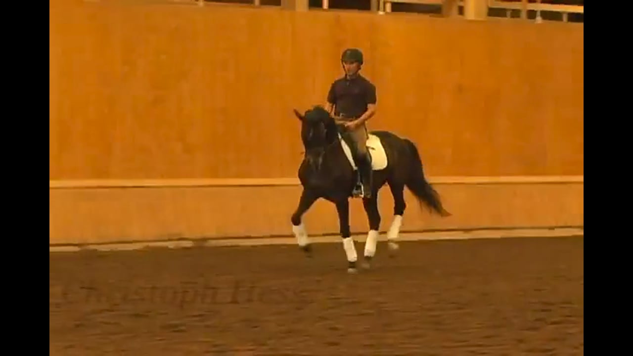 Stretching for Upper Levels, Day 1 | Christoph Hess | PART 04