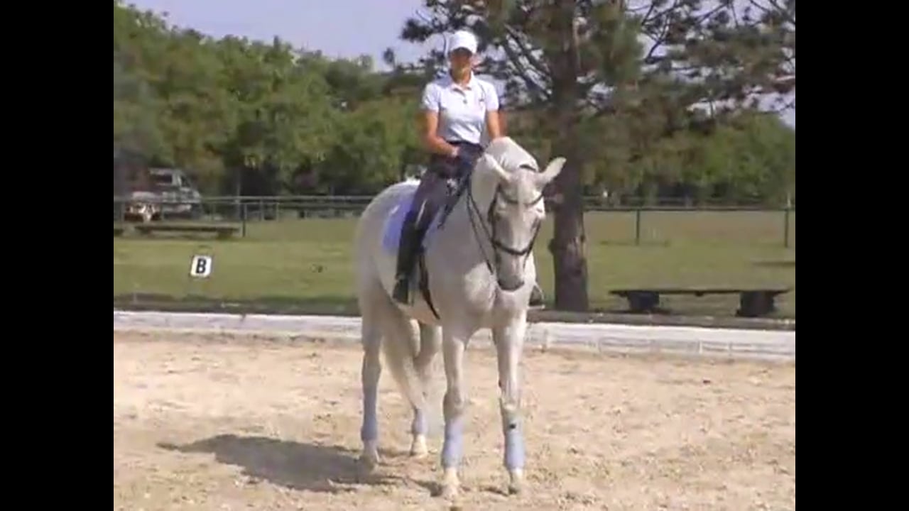 Caroline Kottas-Heldenberg trains on improving the trot and tempo changes within