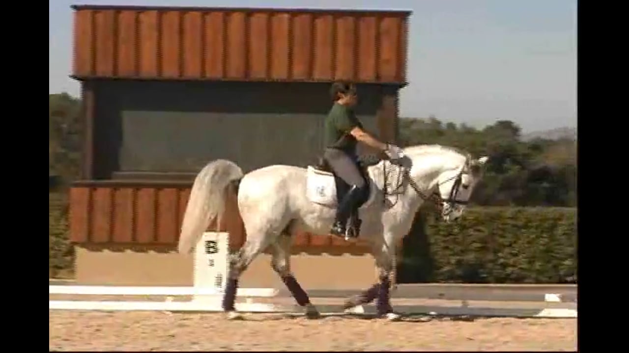 Changes, Straightness, Riding a square halt - Hilda Gurney