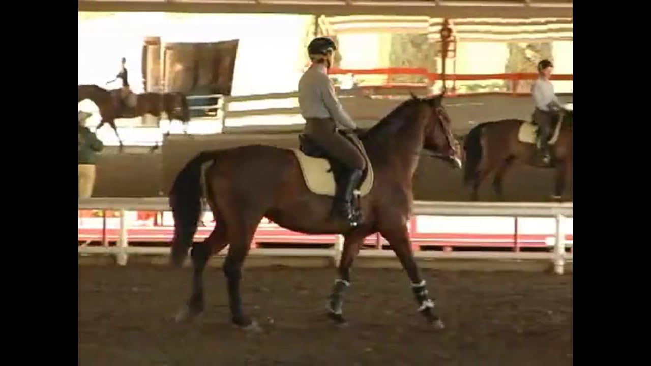 Canter Work and Developing a Quiet Seat | Christoph Hess