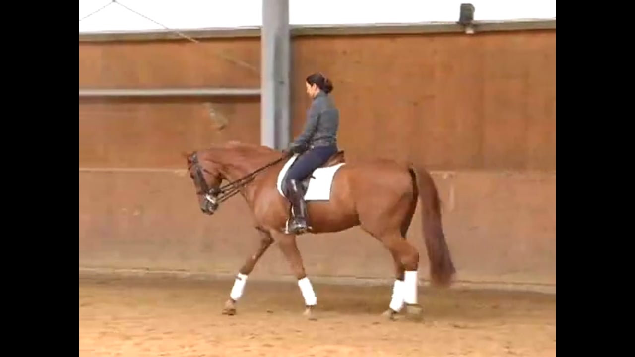 The Creation of the Gladiator Freestyle | Catherine Haddad | PART 01