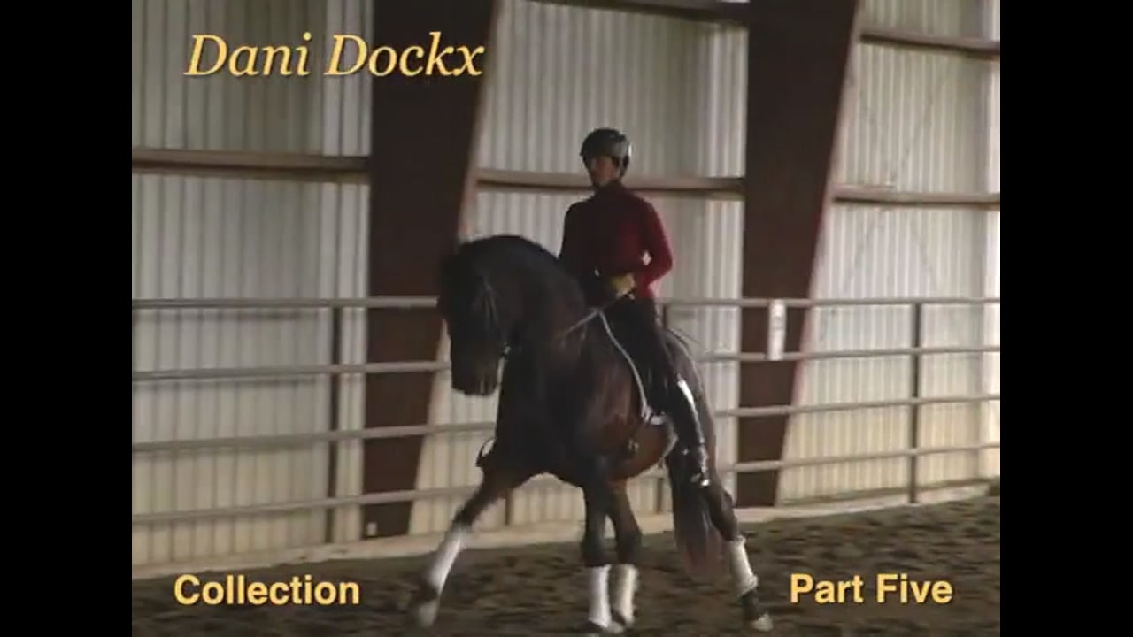 Collection at the PSG level | Daniel Martin Dockx | PART 05