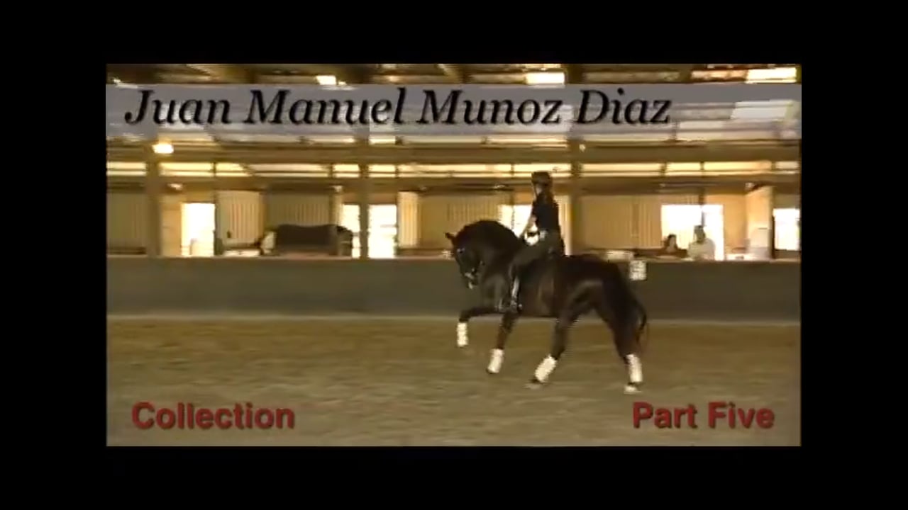 Collection, Attention, Pirouettes, Changes | Juan Manuel Munoz | PART 05