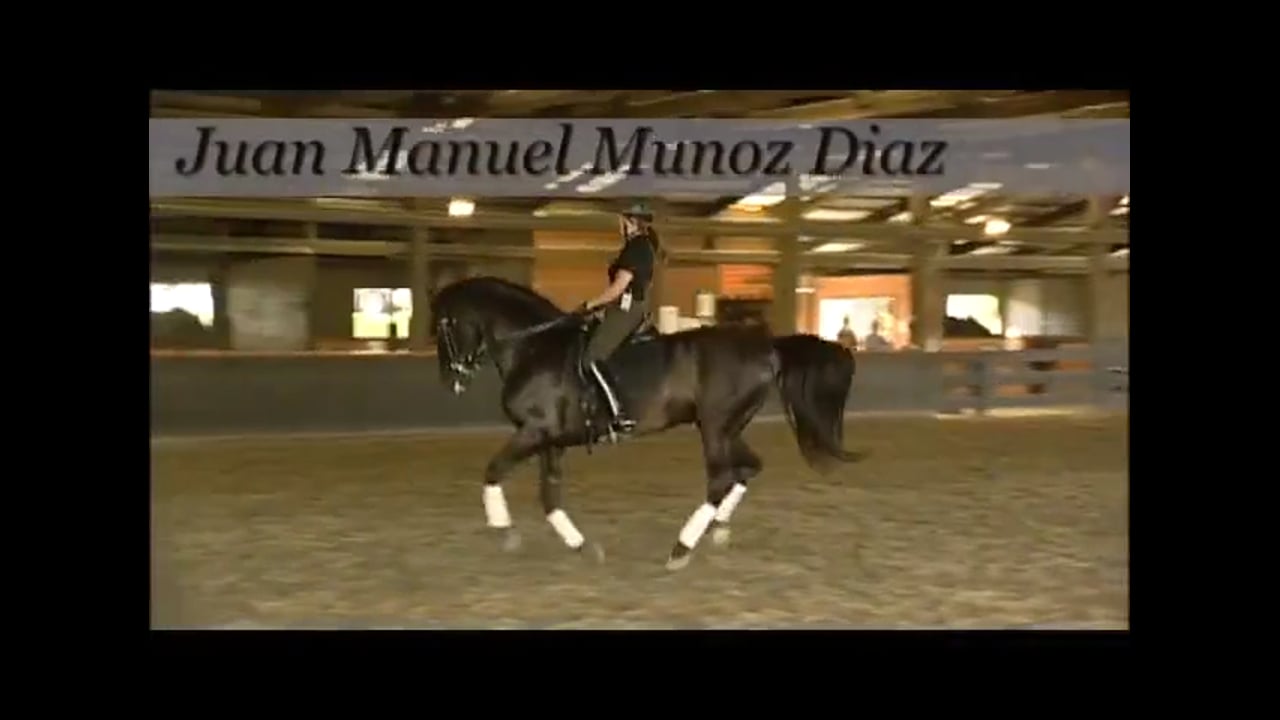Collection, Attention, Pirouettes, Changes | Juan Manuel Munoz | PART 04