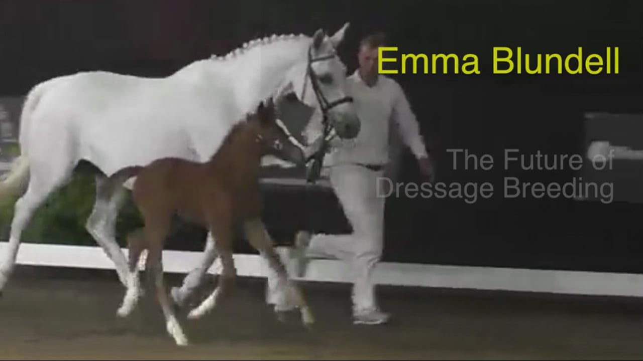 The Future of Dressage Breeding | Emma Blundell | PART 04