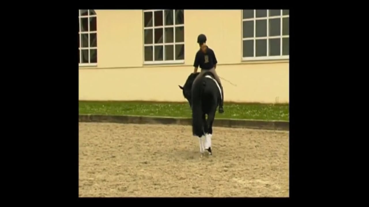 Circle Gymnastic – Part 2