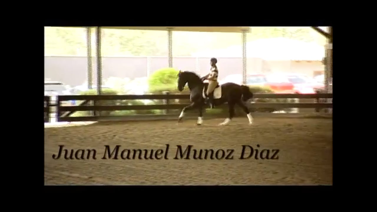 Connection | Juan Manuel Munoz Diaz | PART 03