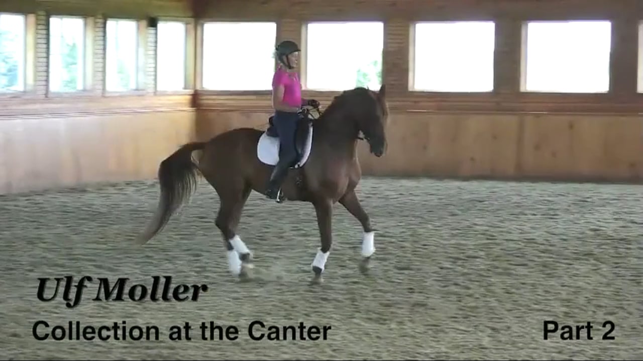 Collection at the Canter | Dr. Ulf Moller | PART 02