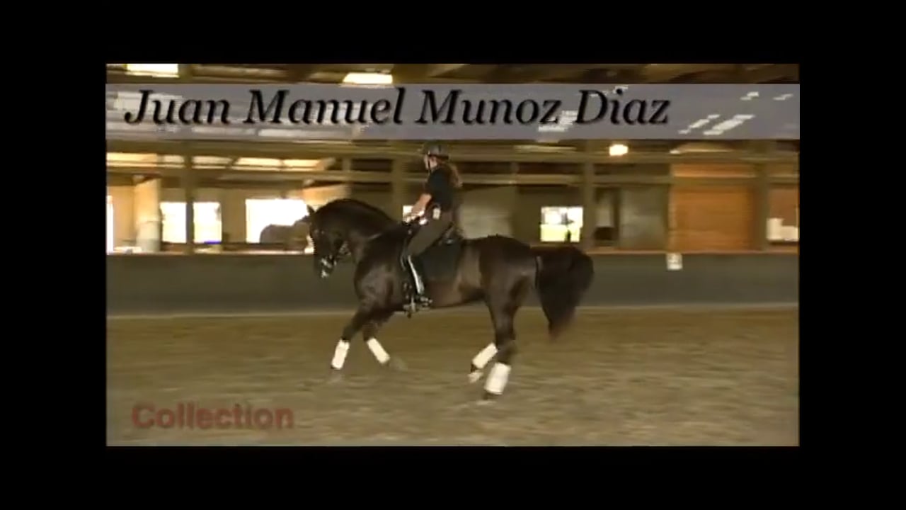 Collection, Attention, Pirouettes, Changes | Juan Manuel Munoz | PART 02