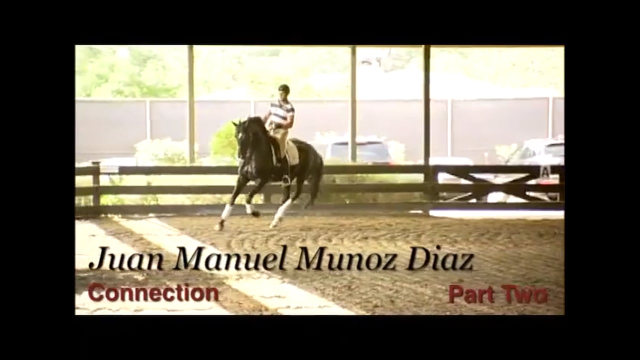 Connection | Juan Manuel Munoz Diaz | PART 02