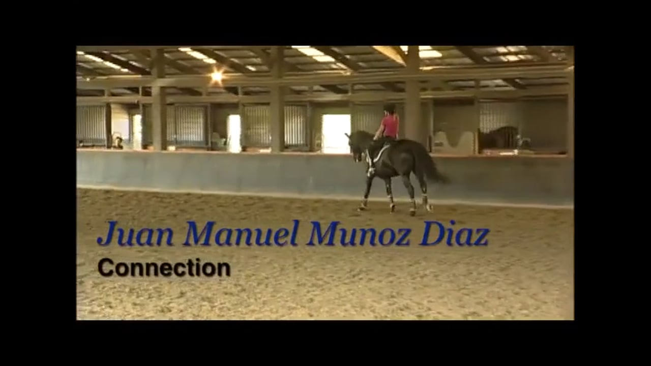 Connection, Straightness, Single Changes | Juan Manuel Munoz Diaz | PART 02