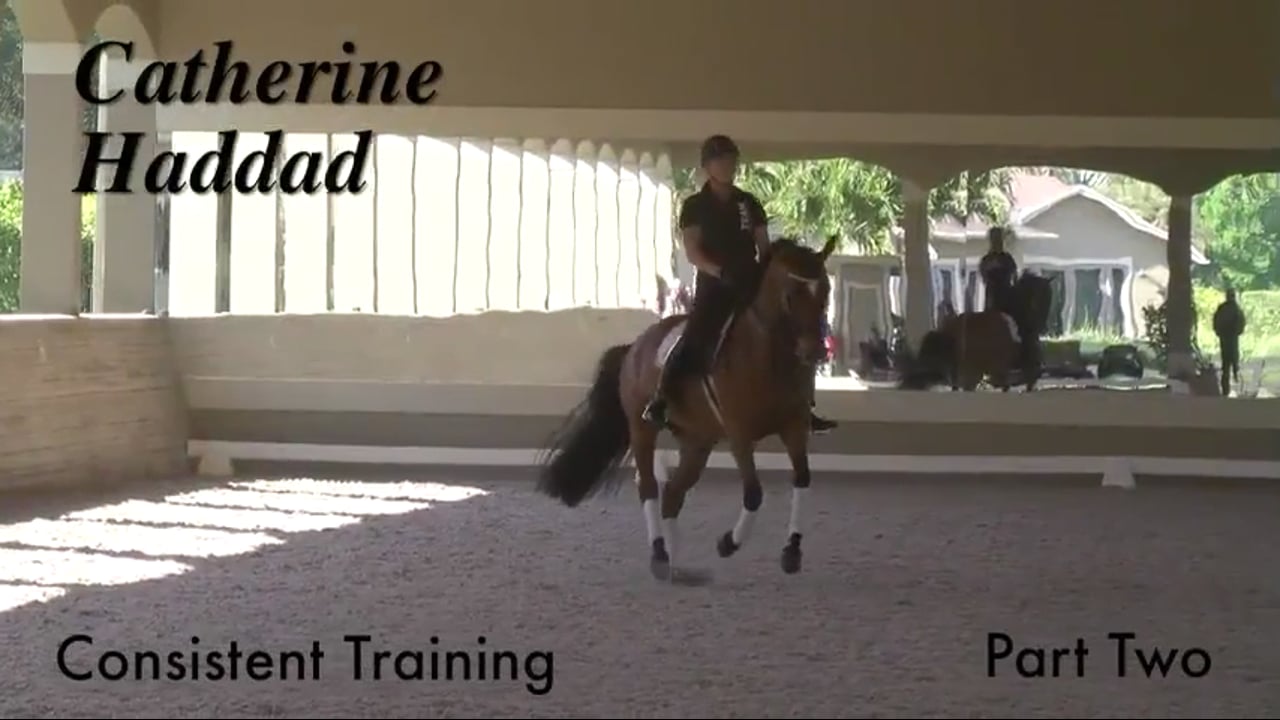Consistent Training | Catherine Haddad | PART 02