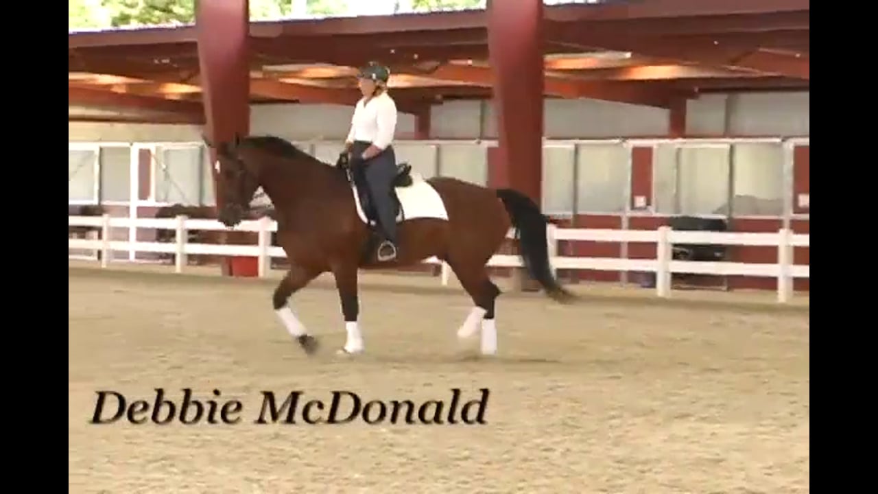 Contact and Stability at the Training Level | Debbie McDonald | PART 02