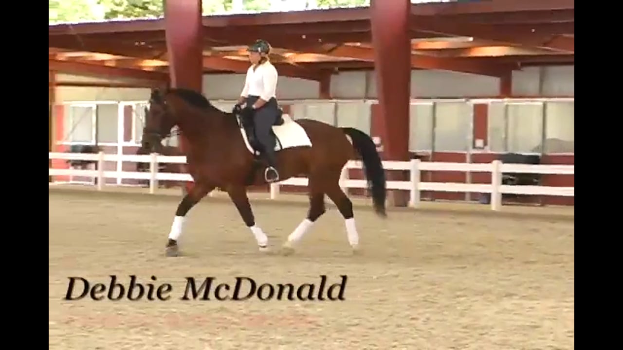 Contact and Stability at the Training Level | Debbie McDonald | PART 03