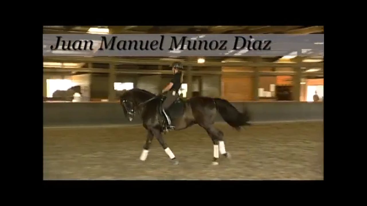 Collection, Attention, Pirouettes, Changes | Juan Manuel Munoz | PART 03