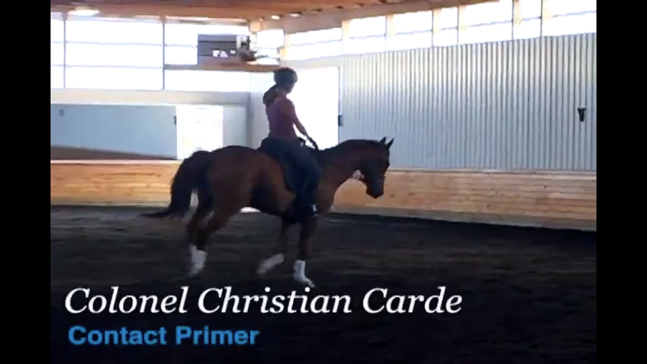 Contact Primer at the Training Level | Colonel Christian Carde | PART 04