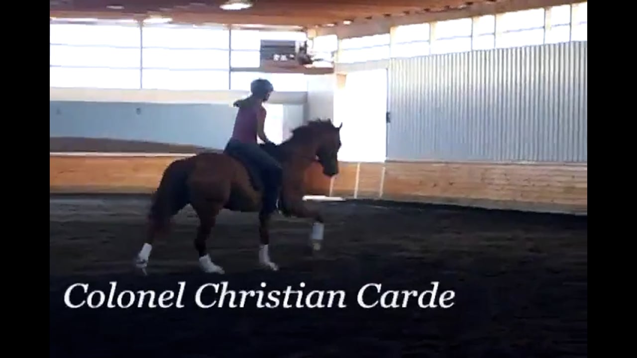 Contact Primer at the Training Level | Colonel Christian Carde | PART 02