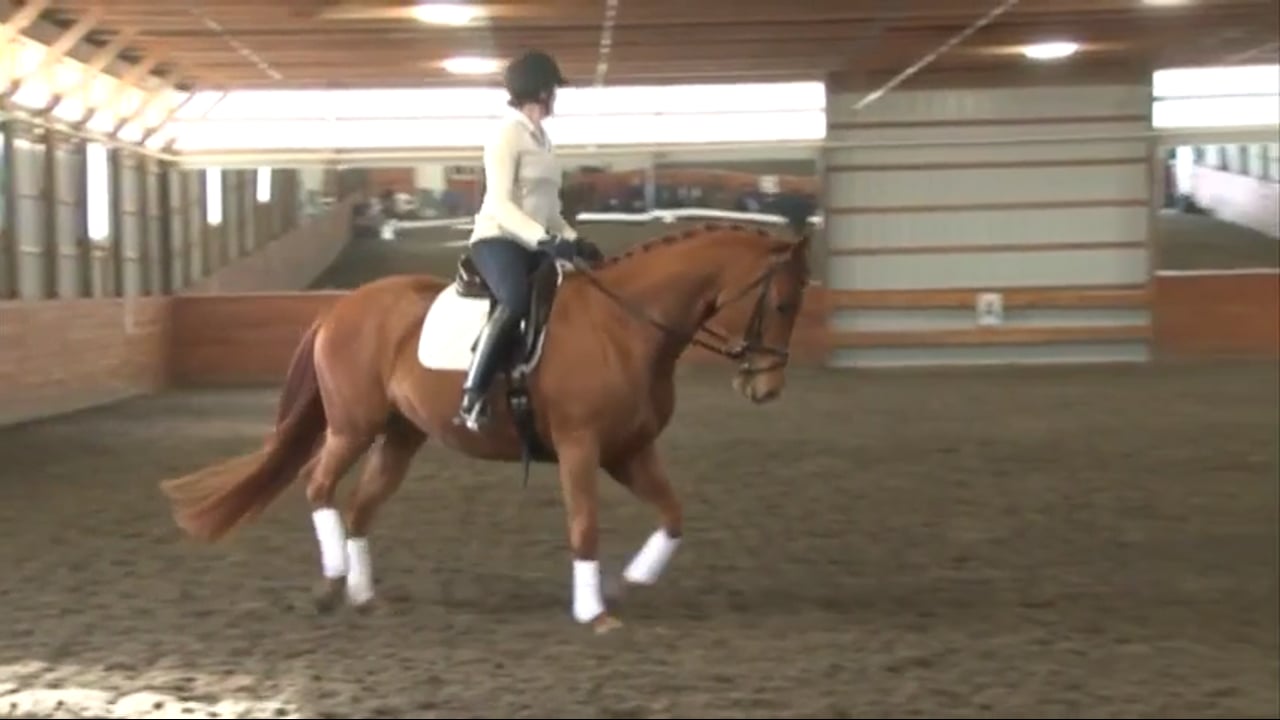 Contact | Dr. Ulf Moller | PART 05