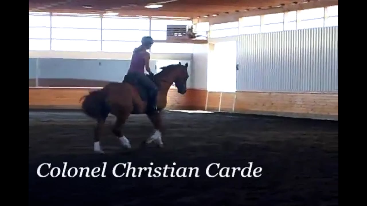 Contact Primer at the Training Level | Colonel Christian Carde | PART 03