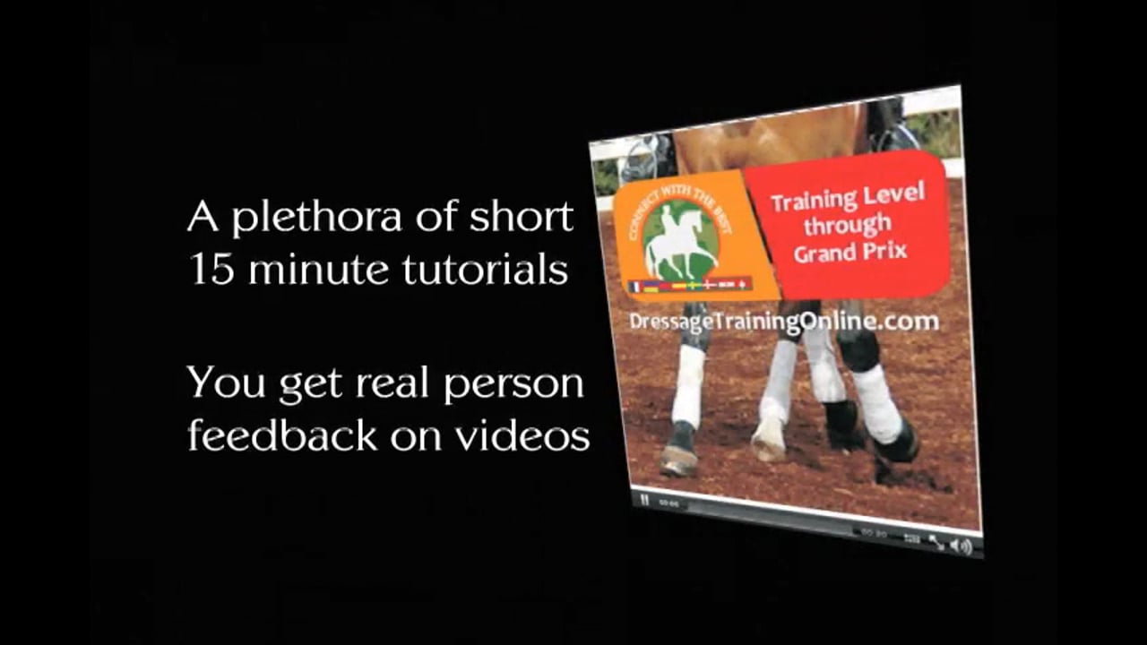 Contact and Stability at the Training Level | Debbie McDonald | PART 01