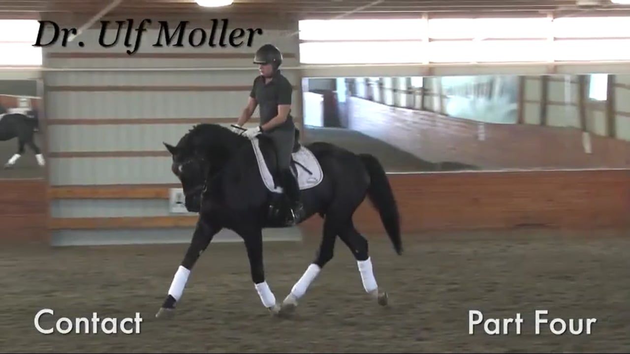Contact | Dr. Ulf Moller | PART 04