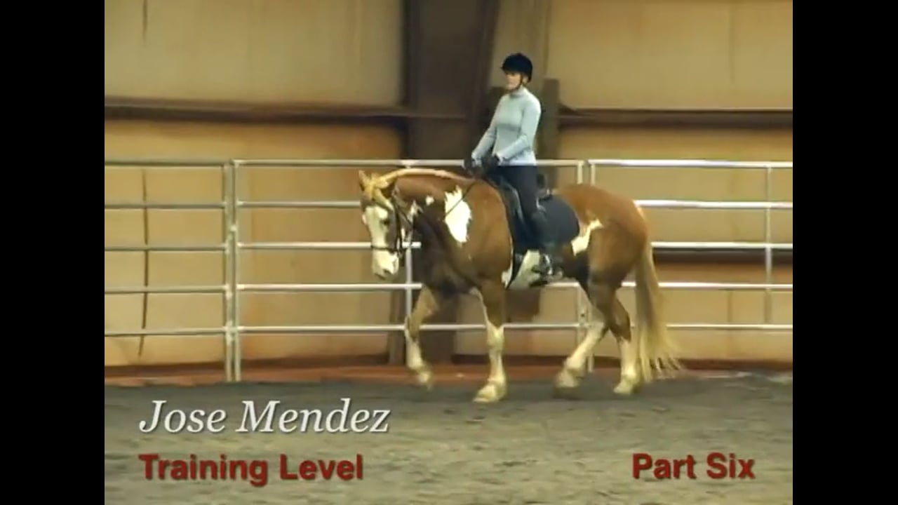 Contact, Whip Use, Forward at the Training Level | Jose Mendez | PART 06