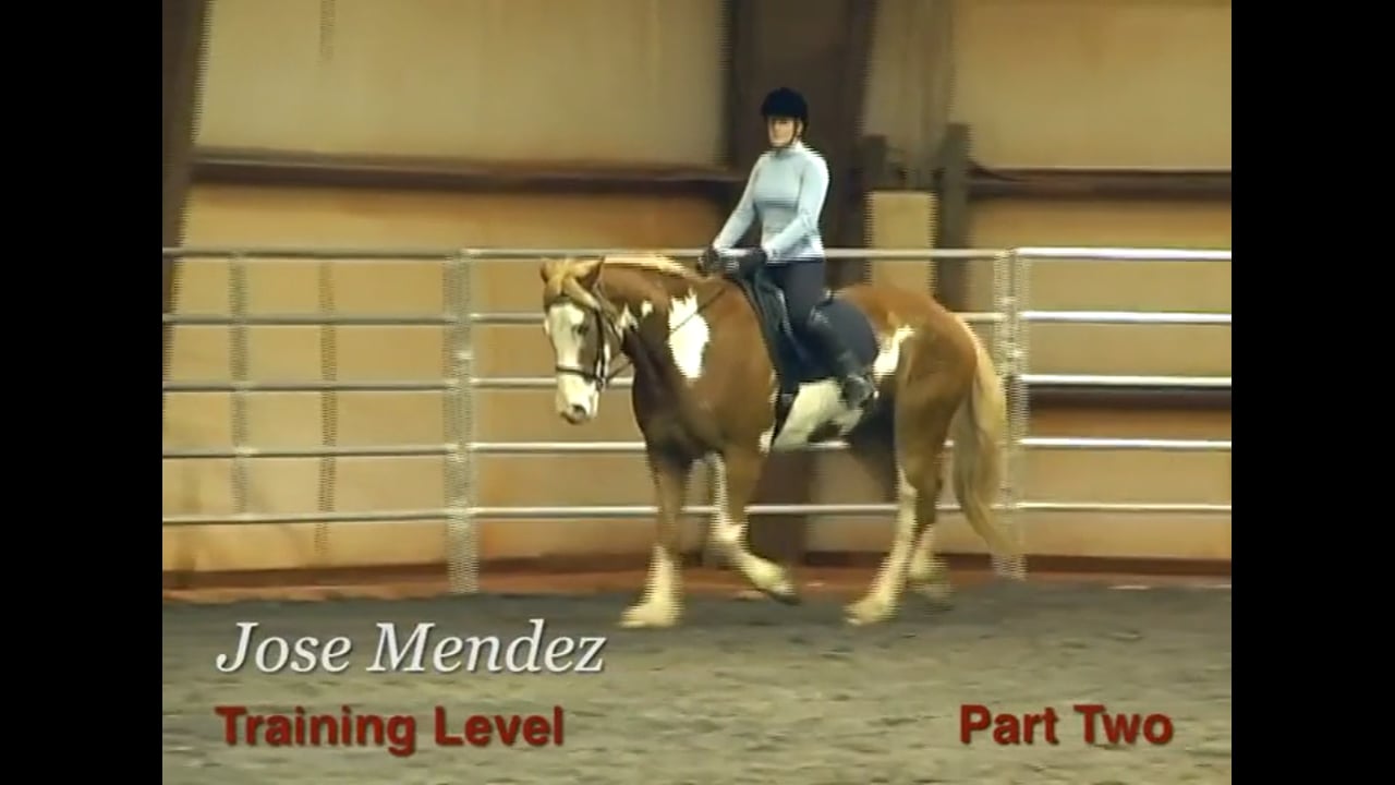 Contact, Whip Use, Forward at the Training Level | Jose Mendez | PART 02