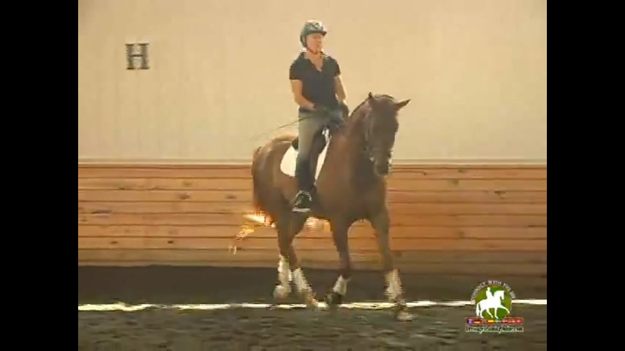 Contact, Frame, Transitions, Work in Hand | Colonel Christian Carde | PART 02